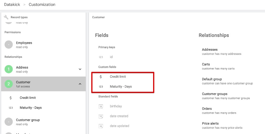 customer custom field definition