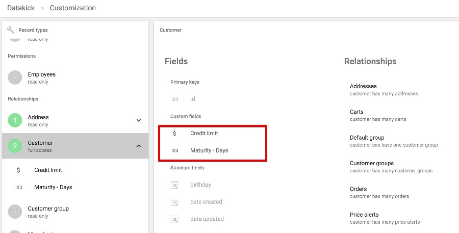 customer custom field definition